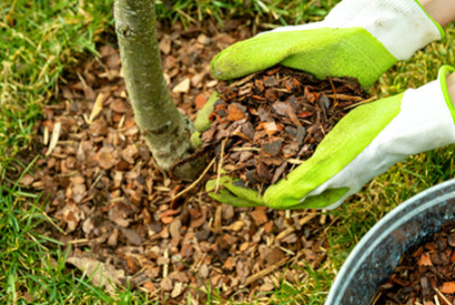 Comment choisir son paillage pour son potager et ses parterres de fleurs ?