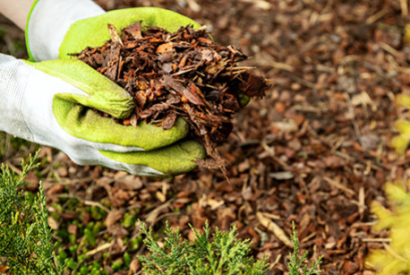 Comment choisir le bon paillage ?