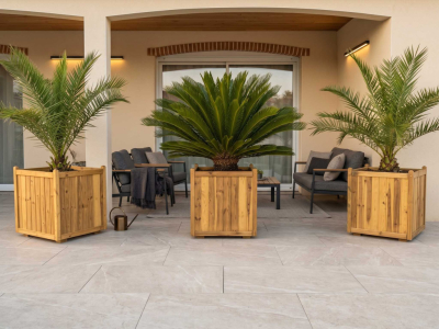 Que planter en mai en jardinière ? Le guide complet pour un extérieur fleuri